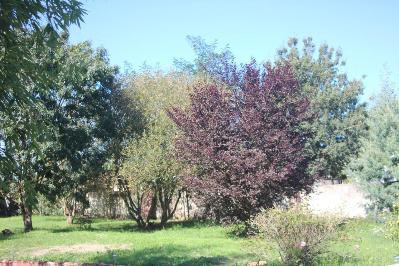 L Entredeux Apartment Saint-Viaud Luaran gambar